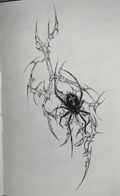 a black and white drawing of a spider