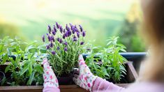 a woman is pointing at some plants in a window sill with her hand on the planter