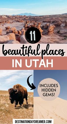 two pictures with the words beautiful places in utah and an image of a bison on top