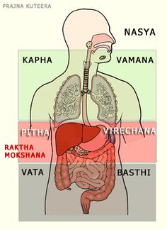 About Panchakarma Ayurveda Khapa, Tri Dosha, Ayurveda Hospital, Human Body Organs