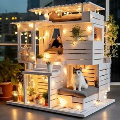 a cat is sitting on top of a doll house with lights around the roof and windows