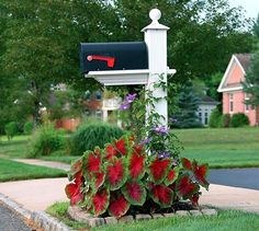 a mailbox with flowers growing out of it