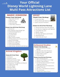 the disneyland world lightening lane pass attractions list