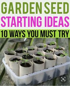 the garden seed starting ideas 10 ways you must try