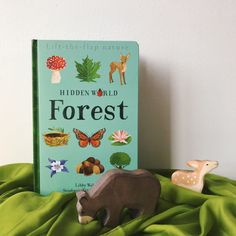 the children's book forest is sitting on a green blanket next to two toy animals