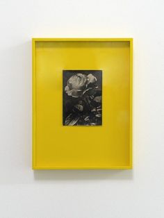 a yellow frame with a black and white flower in it on the wall next to a painting