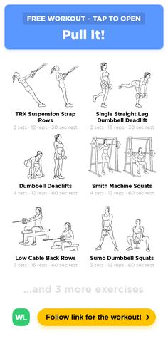 an exercise poster with instructions on how to do the pull - up and squat exercises