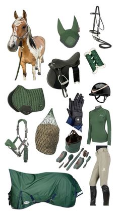 various equestrian equipment including horse boots, gloves and saddles are arranged on a white background