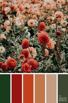 the color palette is red, orange and green with some white flowers in front of it