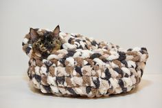 a cat laying on top of a brown and white blanket covered in fuzzy yarns