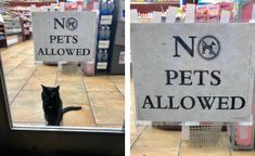 two pictures side by side one has a sign that says no pets allowed and the other shows a black cat