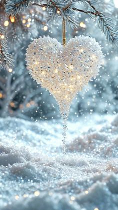 a heart shaped ornament hanging from a tree branch in front of snow covered trees