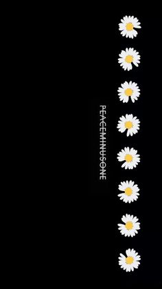 white daisies are arranged on a black background