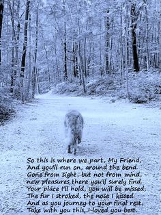 a dog walking down a dirt road in the woods with a poem written on it