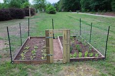 an outdoor garden with several plants growing in the ground and fenced in area around it