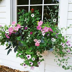 a window sill with flowers and letters on it