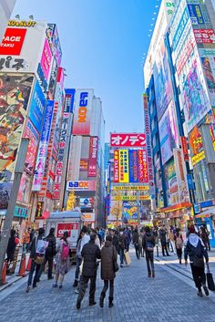 Akihabara Japan, Asian City, Japan Travel Photography, Japan Travel Destinations, Bahasa Jepun, Themed Cafes, Japan Travel Tips, Tall Buildings, Japan Aesthetic