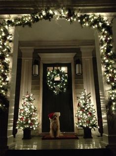 a dog sitting in front of a door decorated with christmas wreaths and lights on it