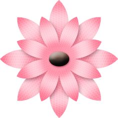 a pink flower on a white background