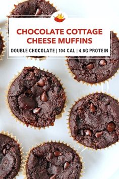 chocolate cottage cheese muffins on a white plate with text overlay that reads, chocolate cottage cheese muffins