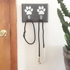 a dog leash hanging on the wall next to a potted plant and door handle