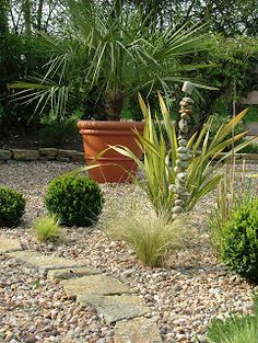 there is a large potted plant in the middle of this graveled garden area