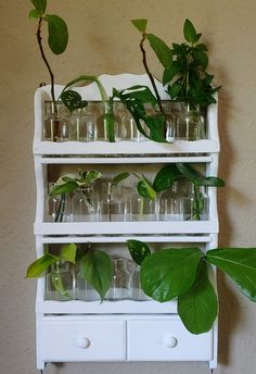 a white shelf filled with lots of green plants