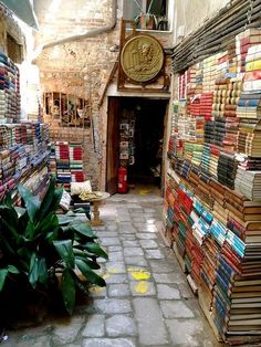 an alley way with books and plants on the side