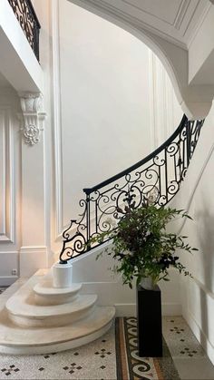 a plant in a vase sitting on the ground next to a stair case and railing