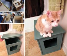 there is a cat sitting on top of a small litter box in the floor next to a towel rack