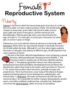 the female reproductional system is shown in this poster