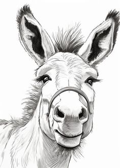 Create with Donkey Coloring Pages - Art & Craft Drawings Of Donkeys, Donkey Coloring Page Free Printable, Detailed Animal Drawings, Simple Donkey Drawing, Donkey Sketch, Cute Donkey Drawing Art, Donkey Paintings, Classical Art Paintings, Donkey Drawing