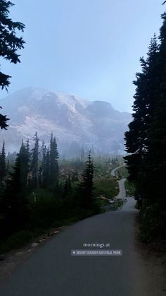 the road is surrounded by pine trees and mountains in the distance, with a person walking on one side