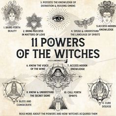 Born A Witch, Which Witch, Magick Book