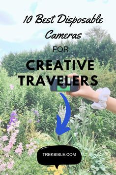 someone taking pictures with their cell phone in front of some flowers and bushes, text reads 10 best disposable cameras for creative travelers