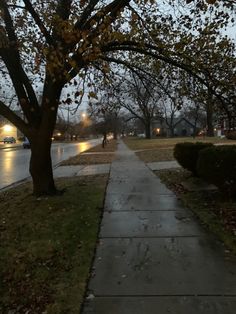 a sidewalk that has some trees on the side of it and people walking in the rain