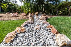 a garden with rocks and grass in the foreground, surrounded by palm trees on either side