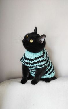 a black cat sitting on top of a white couch wearing a blue and black sweater