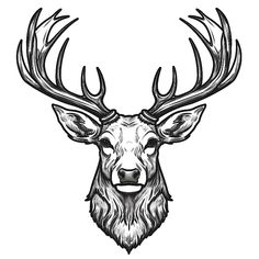 a deer's head with large antlers on the front and side, drawn in ink