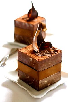 two pieces of chocolate dessert sitting on top of a white plate