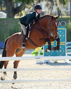 a woman riding on the back of a brown horse