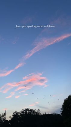 the sky is filled with pink clouds as birds fly in the distance, and there are words written above them