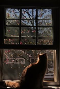 a cat sitting in front of a window looking out at the trees and flowers outside