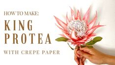 a person holding a flower with the words how to make king proteaa with crepe paper