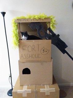 a cardboard box sitting on top of a floor next to a black and white cat