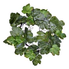 a group of green leaves on top of each other in the shape of a circle