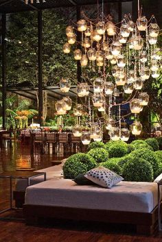 a living room filled with lots of plants and lights