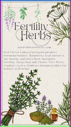 Estrogen Imbalance, Herbs For Fertility, Plant Knowledge, Fertility Tea, Natural Path, Natural Electrolytes, Herbal Medicine Recipes, Low Estrogen Symptoms, Magickal Herbs