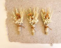 three vases with dried flowers are sitting on a piece of paper