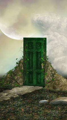 an open green door sitting on top of a lush green field next to a pile of rocks